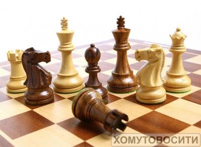Требуется инструктор по шахматам
