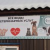 Первая частная ветеринарная клиника
