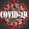 Актуальная информация по коронавирусу